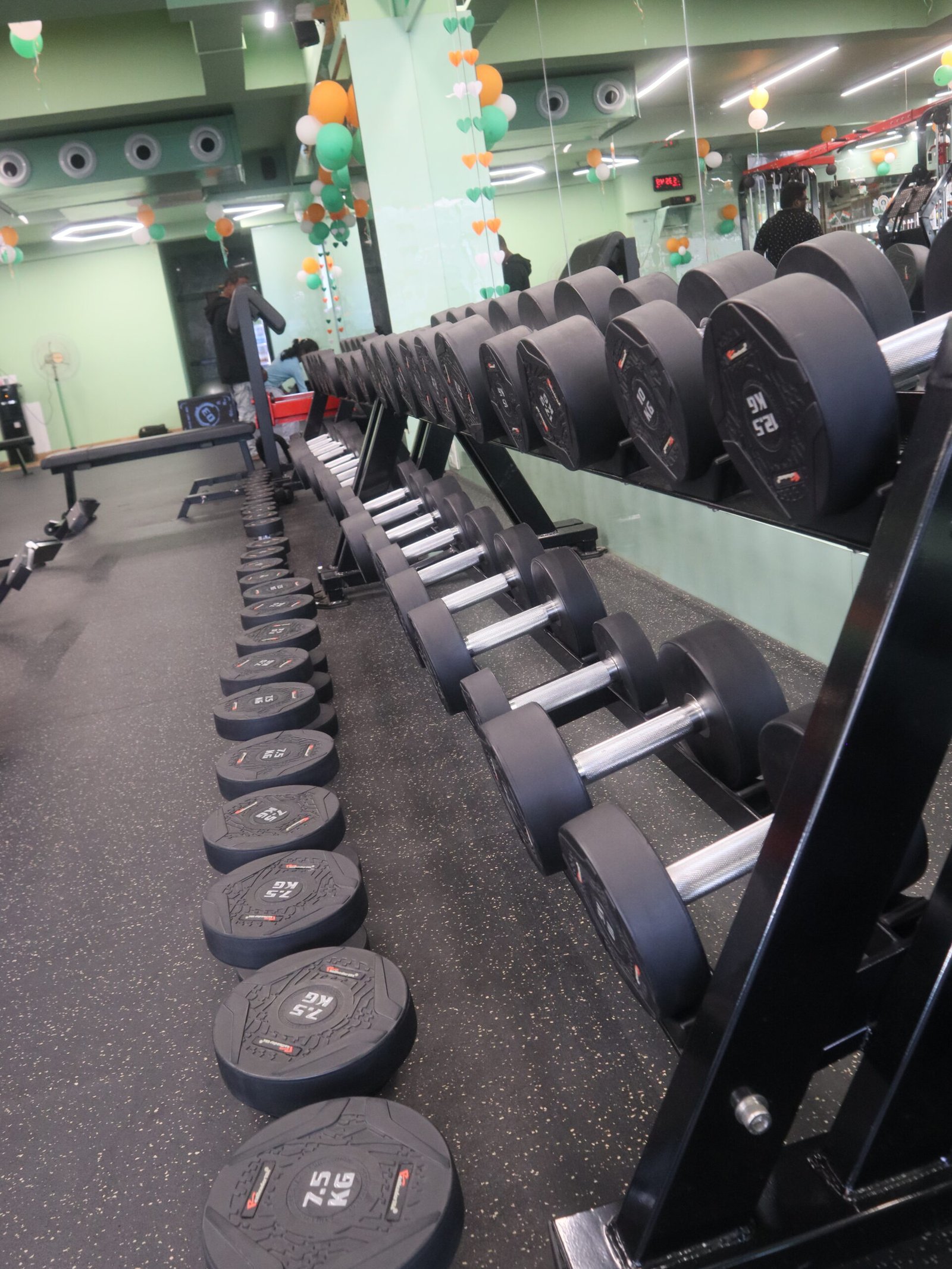 Free Weights Pit